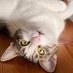 morgana 🐈 (@ayveyagmur) Twitter profile photo morgana 🐈 (@ayveyagmur) Twitter profile photo