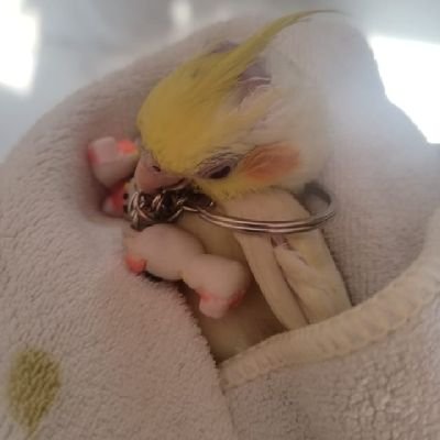 jbhavani018's profile picture. 