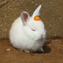 ポピープレイタイムとグラニーとゴーストワイヤー東京が好きです。
オダケン推し
友達の推しもフォローしてる:)
髪切った