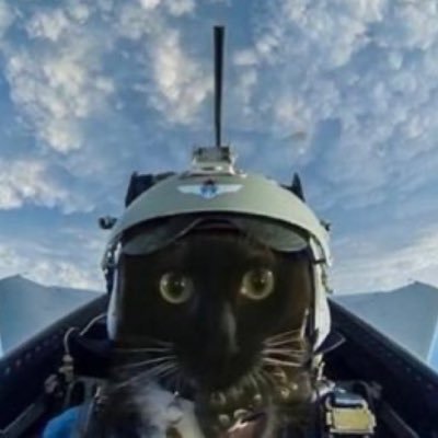 l17th1um_Ang3l's profile picture. under no pretext • i WILL bark