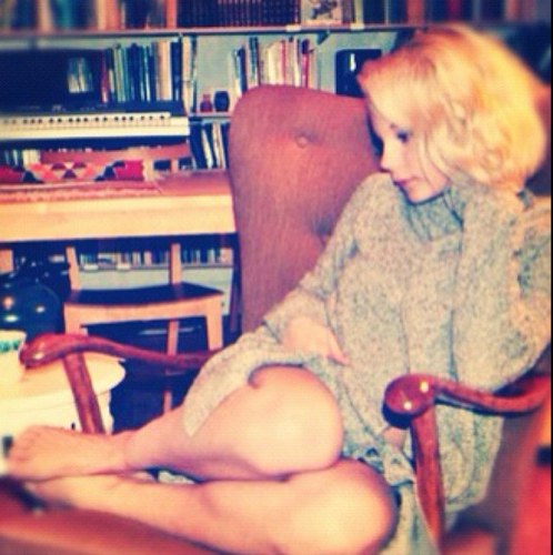 MollyNutley's profile picture. Instagram: Foxxter