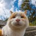 nguyenhoangdao (@nguyenh72868316) Twitter profile photo nguyenhoangdao (@nguyenh72868316) Twitter profile photo