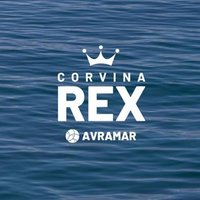 Corvina REX Avramar (@corvina_rex) 's Twitter Profile Photo Corvina REX Avramar (@corvina_rex) 's Twitter Profile Photo