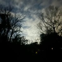 Jacks (@bigsjack__) 's Twitter Profile