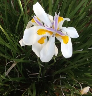 jvinbr's profile picture. 