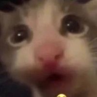 JAMZ‼️‼️ (@cosmicjamz) 's Twitter Profile Photo