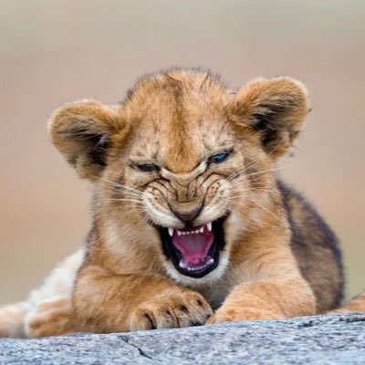 blakjellybeanz's profile picture. 