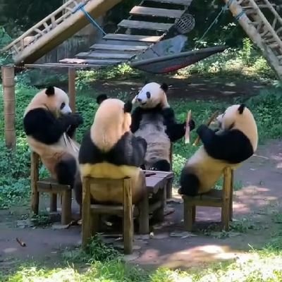 readyplayer31_'s profile picture. #web3