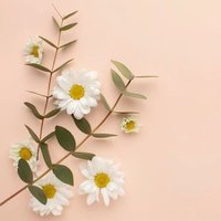 🐇🎵 (@musica_25_25) 's Twitter Profile Photo