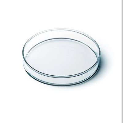 liujunjun570's profile picture. 