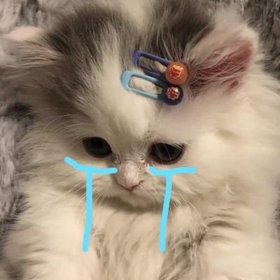 winwin | jaehyun| jeno | thai | nex | khunpol | porsche ขอให้เจอท้องฟ้าน่ารักในทุกวัน🧚🏻💖✨
— fan account for support