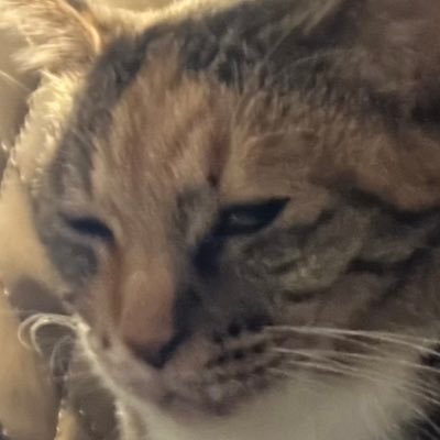 youu0814h's profile picture. 高３阪大基礎工志望 ネットリテラシーはない @insane918475