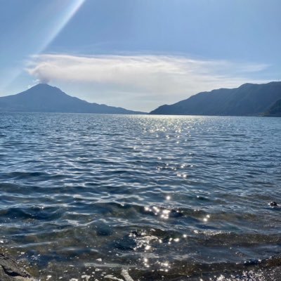 toonarmy0517's profile picture. 春から神大、magpies