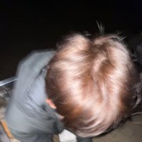 よっぱらい聖那 (@senasxav) 's Twitter Profile