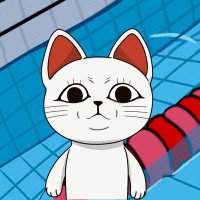 Neko (@ordineko) 's Twitter Profile