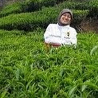 permai_yusuf's profile picture. 