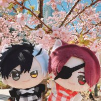 saki (@dalbi211) 's Twitter Profile
