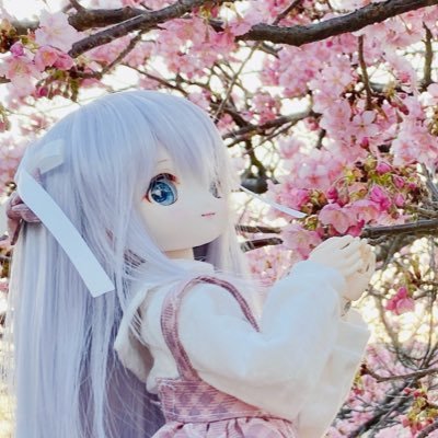 sijyou_hiragino's profile picture. 気がついたらドールオーナーに。。。あれ？。うちの子タグは『#ひらぎのっ子』になります。
