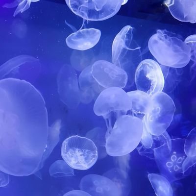 vanilladxze's profile picture. highkey insane & i talk about poop a lot