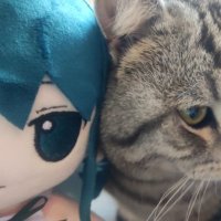 蛋炒饭 (@whyuounot) 's Twitter Profile Photo 蛋炒饭 (@whyuounot) 's Twitter Profile Photo