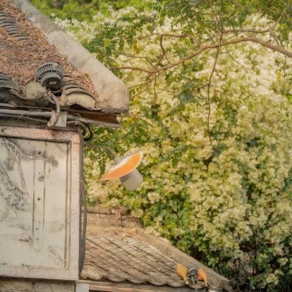 junliu1522004's profile picture. 