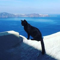 Ddoublez (@ddoublez0) 's Twitter Profile