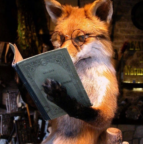 We sell fur ebooks and fur ebook accessories.