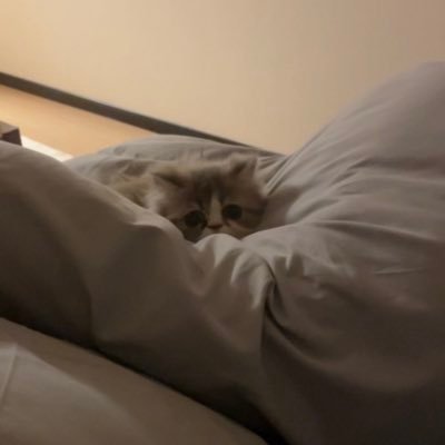 rize__nyan's profile picture. 会える屋さんです♡*゜@kimilog_login
