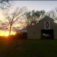 LAND LORD (@davidbinsolomon) 's Twitter Profile