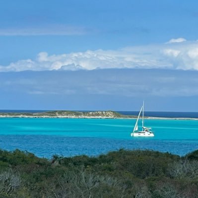 bobafir's profile picture. 