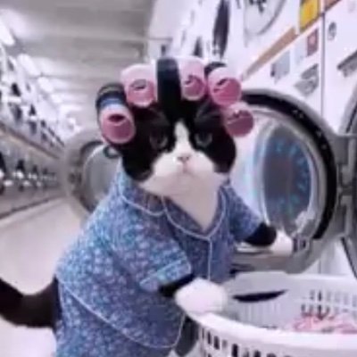 LoriBurkett007's profile picture. Red-pilled in 2020. Faith, Family, Community, Country. 
For we do not wrestle against flesh and blood…
I have the heart of a lion in the body of a marshmallow.