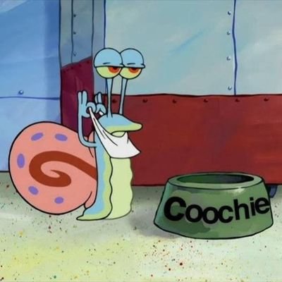 nuttinonharems's profile picture. @Chelseafc 💙
@Celtics 💚