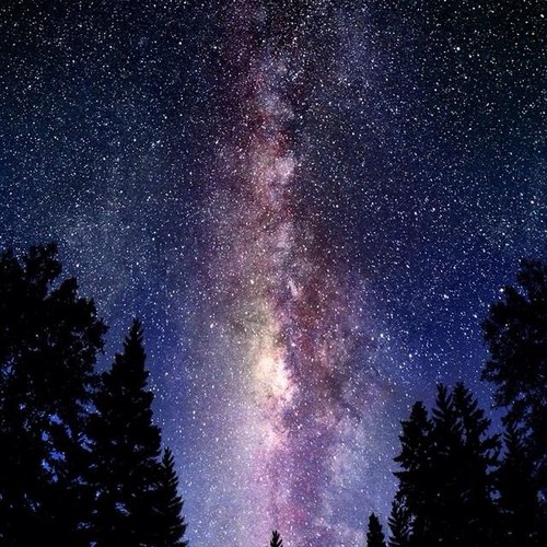 trebordrof's profile picture. getting older and only just twigged that i have been taken for a ride by westminister all my life! Starting to sound like my father, comments are my own