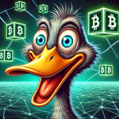 SolDuck70's profile picture. 