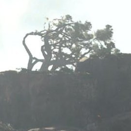 blablathissucks's profile picture. 