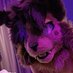 🔞 Jasper Cat 🔞 (@jasperkittyad) Twitter profile photo 🔞 Jasper Cat 🔞 (@jasperkittyad) Twitter profile photo