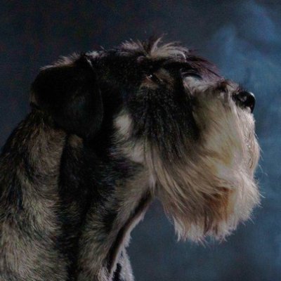 VaapeJuice's profile picture. Junior Creative!