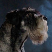 The rest is yet to come (@vaapejuice) 's Twitter Profile Photo