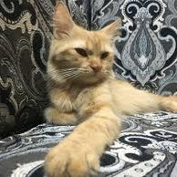 amitzzzzzzzzzz Profile