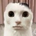 Smaultie (@smaultie) Twitter profile photo Smaultie (@smaultie) Twitter profile photo