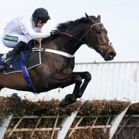 Beechwood Bloodstock (@beechwood_farm) 's Twitter Profile
