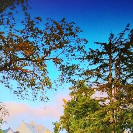 ErmiasWhit20705's profile picture. 