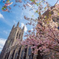 Duke Anesthesiology (@duke_anesthesia) 's Twitter Profile