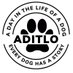 AditloDogs (@aditlodogs) Twitter profile photo AditloDogs (@aditlodogs) Twitter profile photo