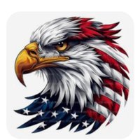 Beachnbumm (@beachnbumm) 's Twitter Profile Photo