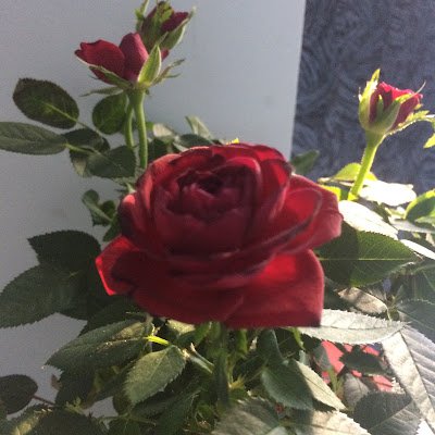 nimm__1's profile picture. 