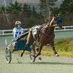 Justin Turnbull (@horsefan4life) Twitter profile photo