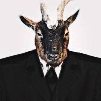carp (@jstcrptdgn) 's Twitter Profile