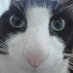 Dee flanagan (@dflanagan58660) Twitter profile photo Dee flanagan (@dflanagan58660) Twitter profile photo