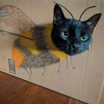 Vitalessence5's profile picture. Autor del dibujo Siraegy 🥰